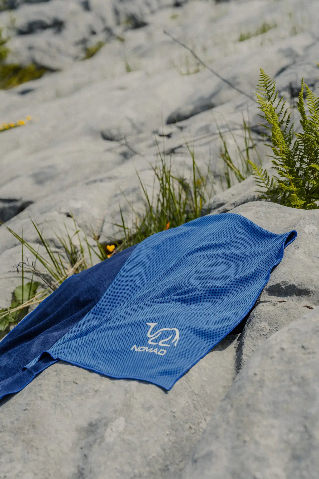 Serviette rafraîchissante bleu My Store 8