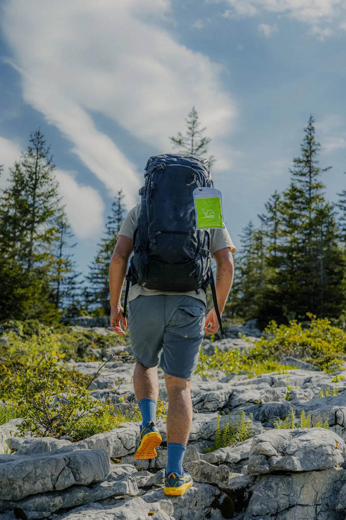Green Impact Nomad Sportswear